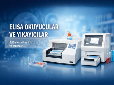 Elisa Okuyucu, Yıkayıcı